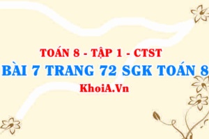Bài 7 trang 72 SGK Toán 8 Tập 1 Chân trời sáng tạo